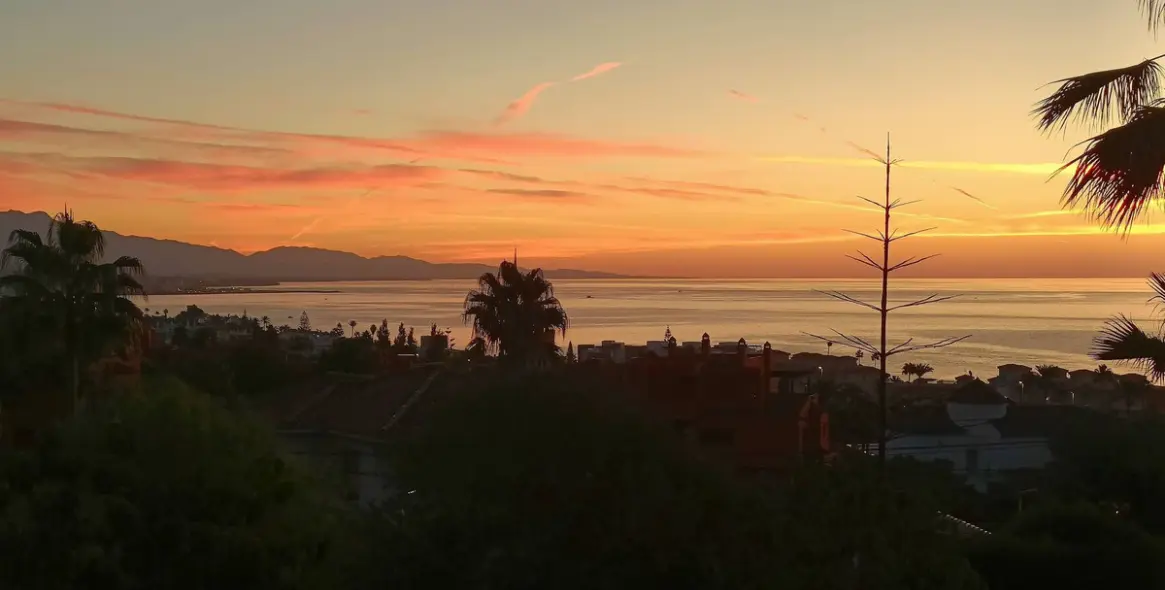 Sale of detached villa in Estepona 16