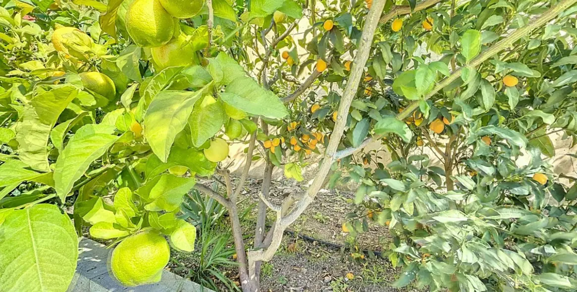 Venta de villa independiente en Torrox 48