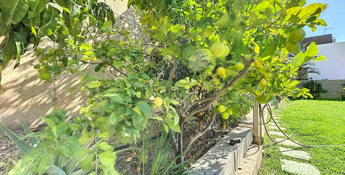 Venta de villa independiente en Torrox 49