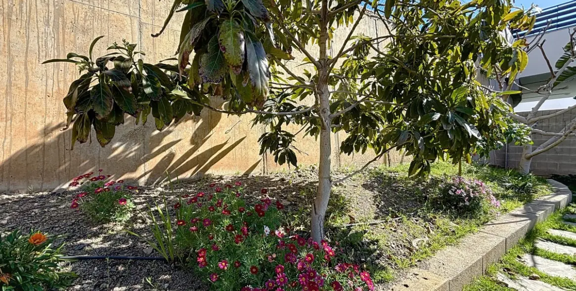 Venta de villa independiente en Torrox 50