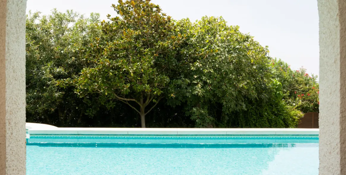 Sale of detached villa in San Pedro de Alcántara 5