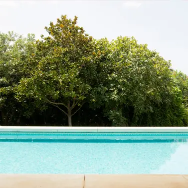 Venta de villa independiente en San Pedro de Alcántara