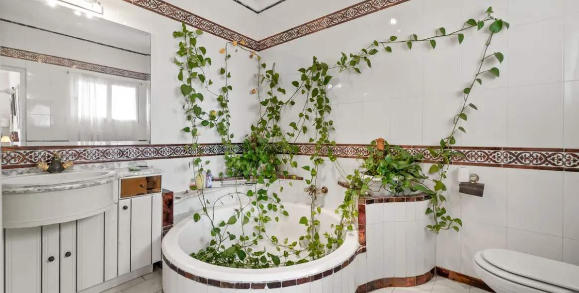 Sale of detached villa in Benalmadena 14