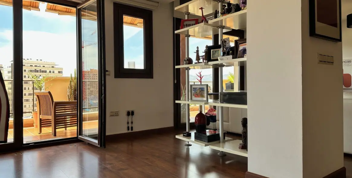 Sale of penthouse duplex in Teatinos 6