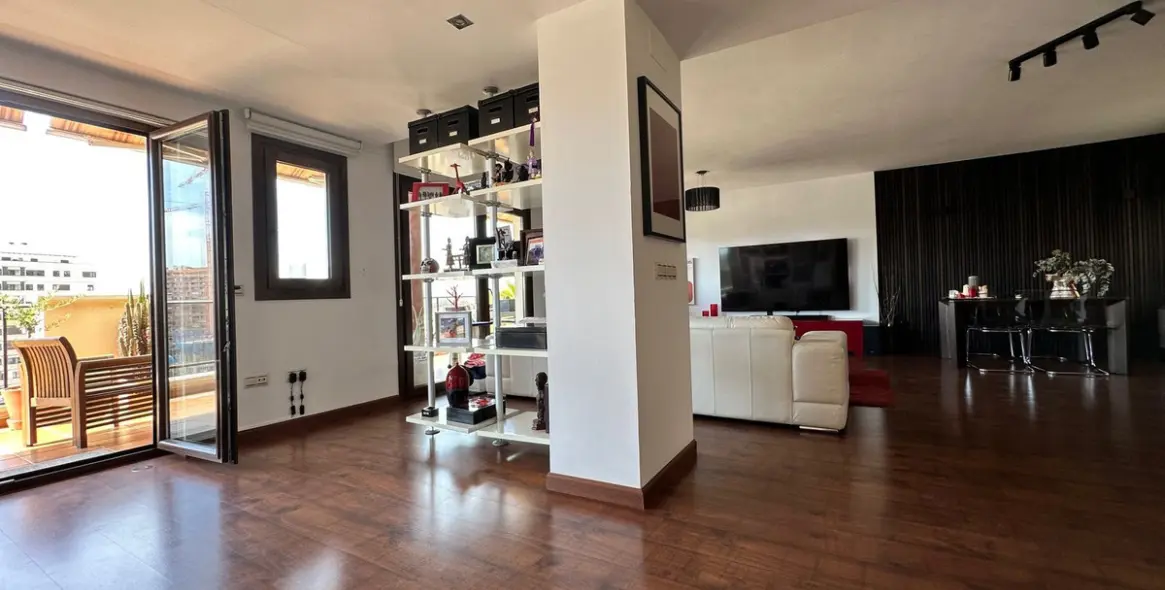 Sale of penthouse duplex in Teatinos 7