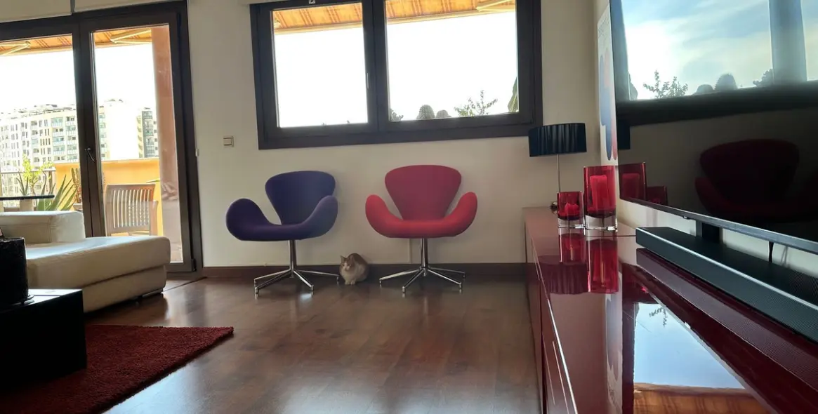 Sale of penthouse duplex in Teatinos 14