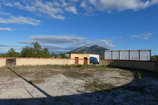 Image 4 thumb