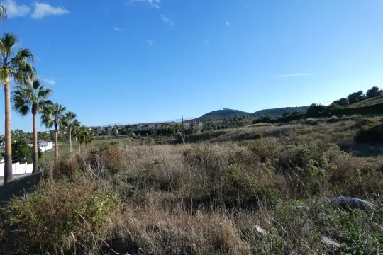 Image 7 thumb