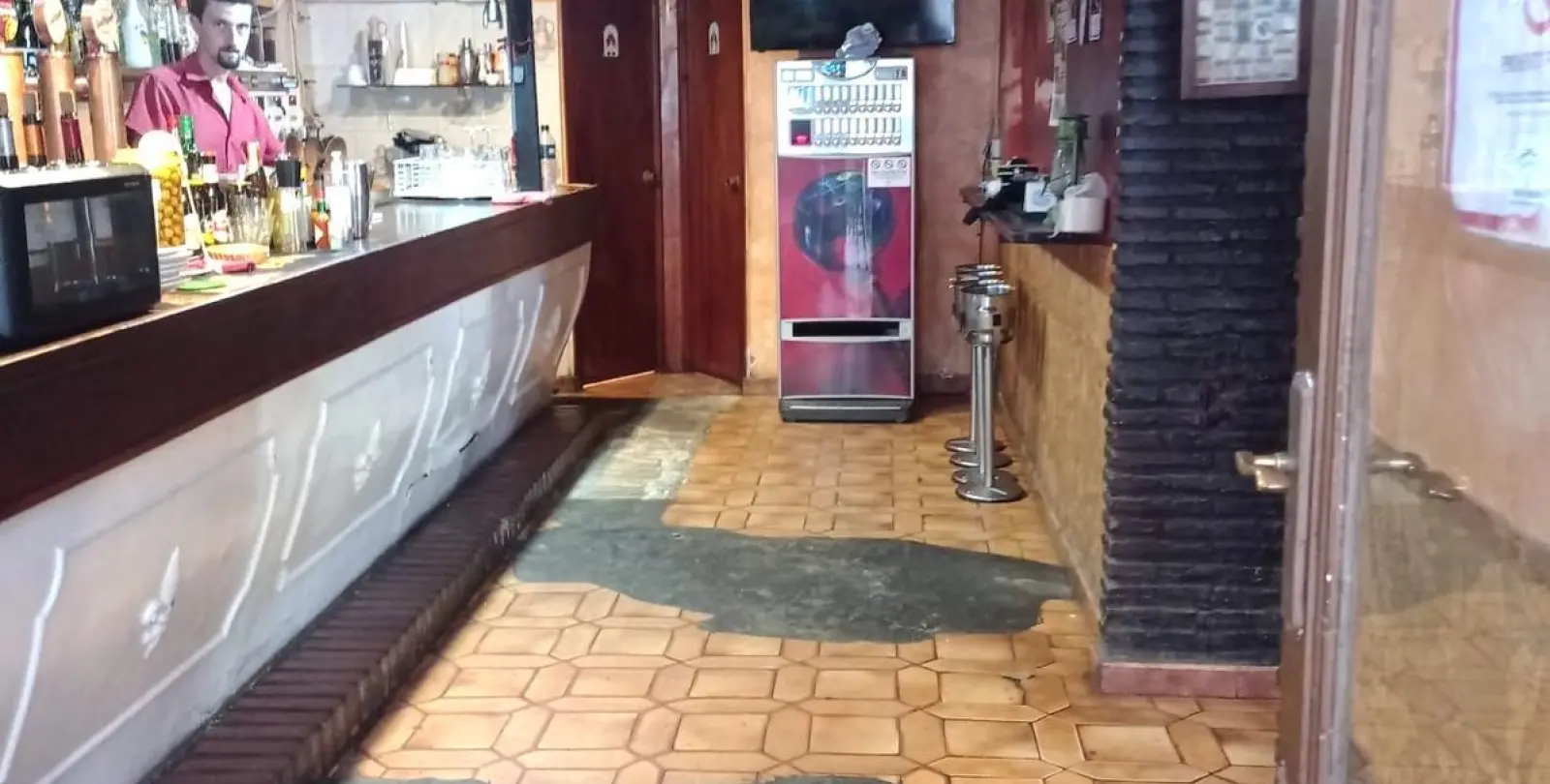 Sale of restaurant in Cabopino 6