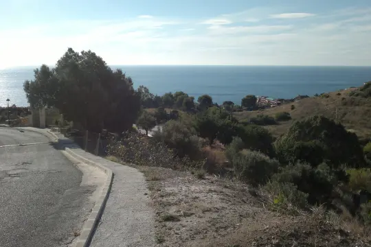 Image 1 thumb