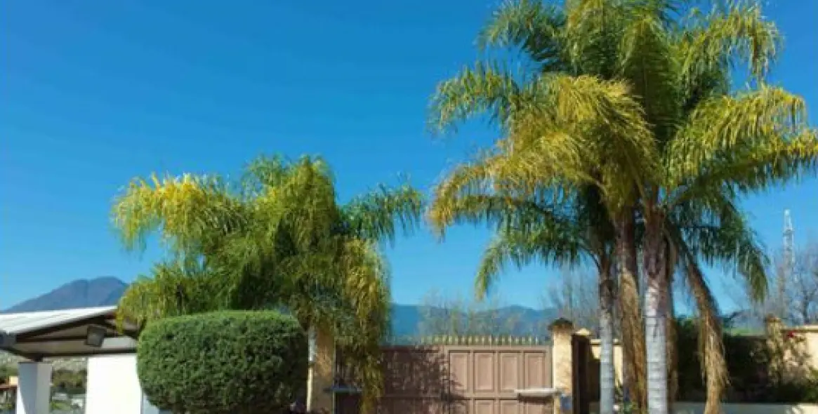 Sale of detached villa in Estepona 4