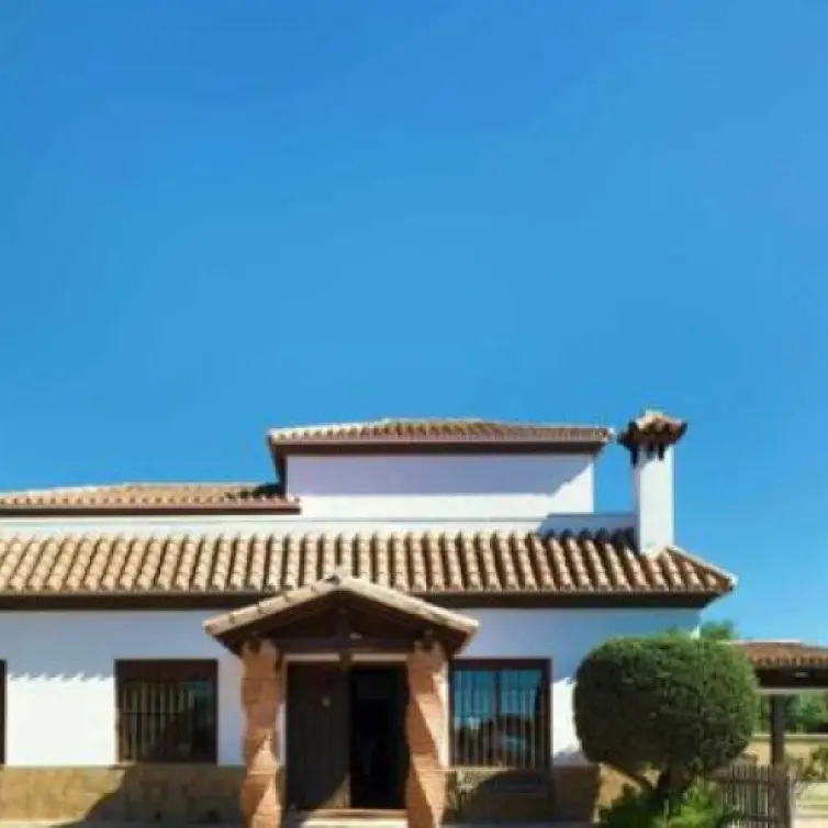 Sale of detached villa in Estepona