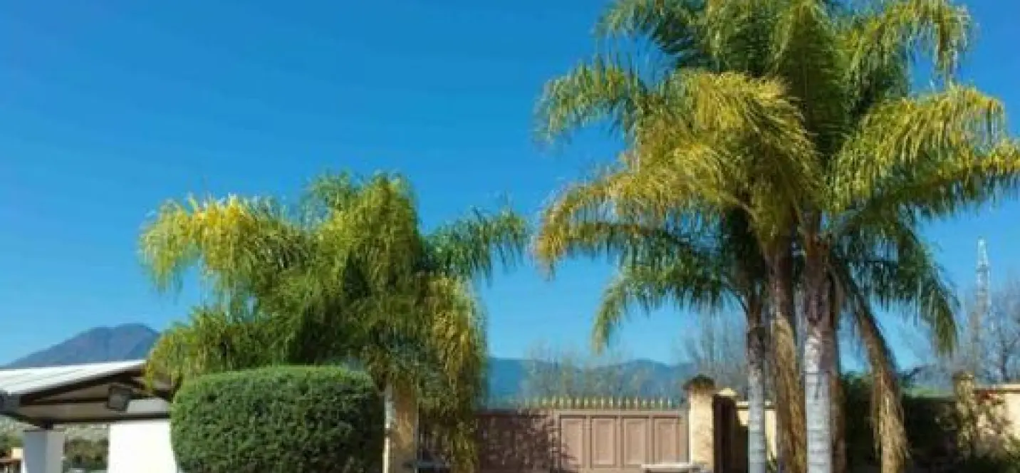 Sale of detached villa in Estepona 3