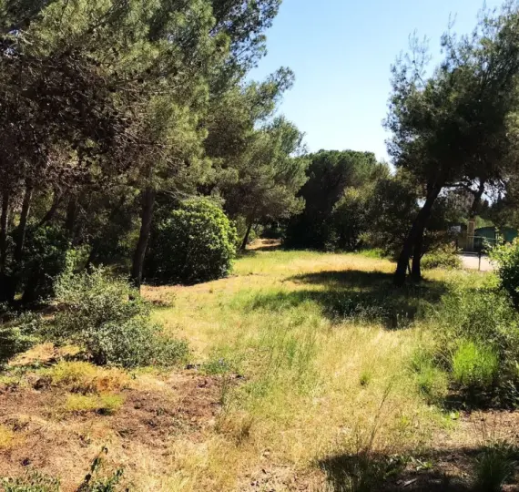 Жилой участок R4069777