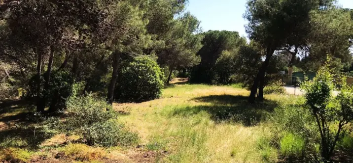 Жилой участок R4069777 2