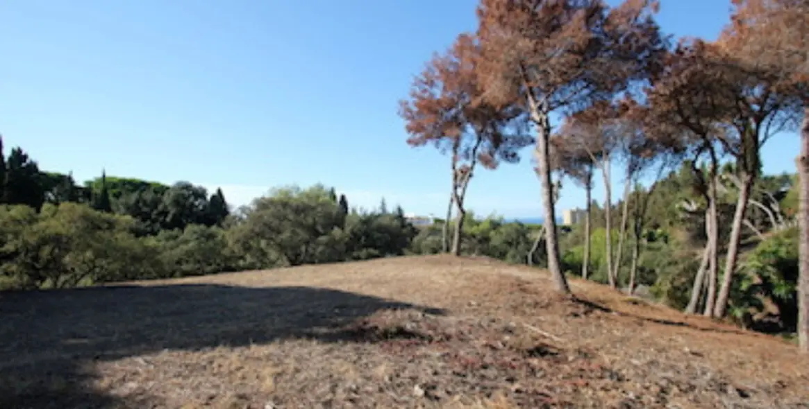 Продажа  жилого участка в Marbella East (район Hacienda Las Chapas) 4