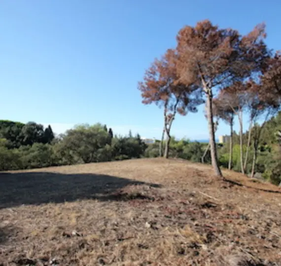 Жилой участок R4069777