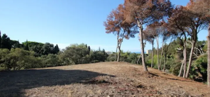 Жилой участок R4069777 3