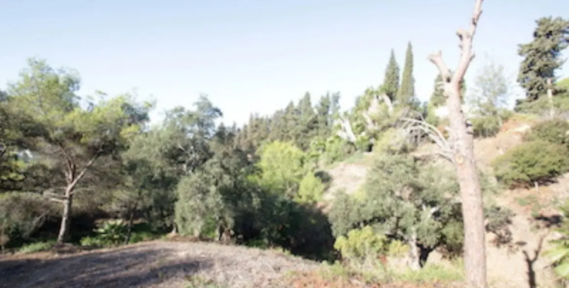 Продажа  жилого участка в Marbella East (район Hacienda Las Chapas) 5