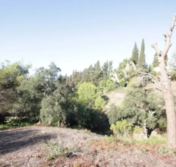 Жилой участок R4069777