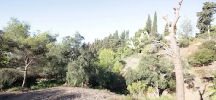 Жилой участок R4069777 4