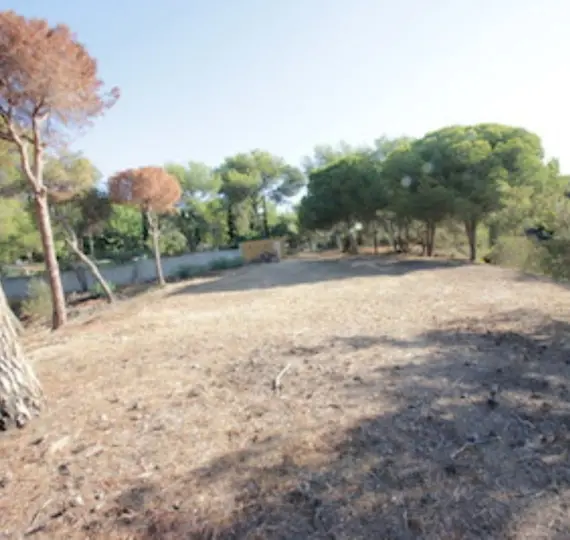 Жилой участок R4069777