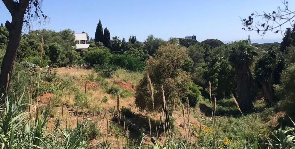 Продажа  жилого участка в Marbella East (район Hacienda Las Chapas) 8