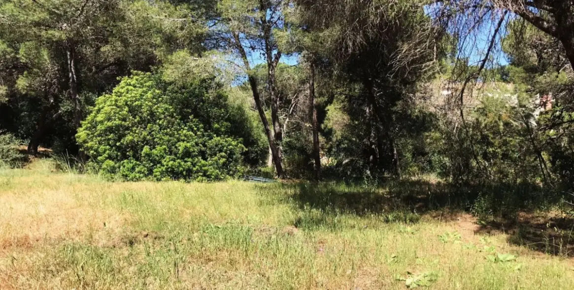 Продажа  жилого участка в Marbella East (район Hacienda Las Chapas) 9