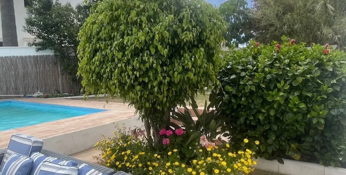 Продажа  отдельно стоящей виллы в San Pedro de Alcántara (район San Pedro de Alcántara) 17