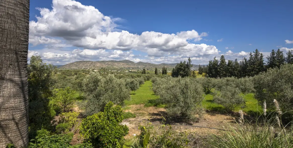 Sale of finca - cortijo in Alhaurín el Grande 17