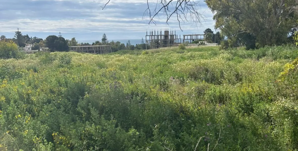 Sale of residential plot in Cancelada 1