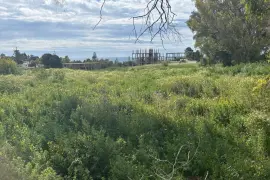 Image 1 thumb