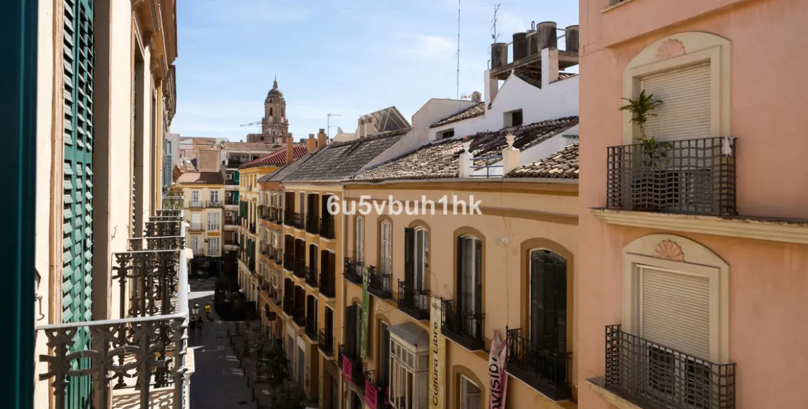 Sale of penthouse in Centro Histórico 32