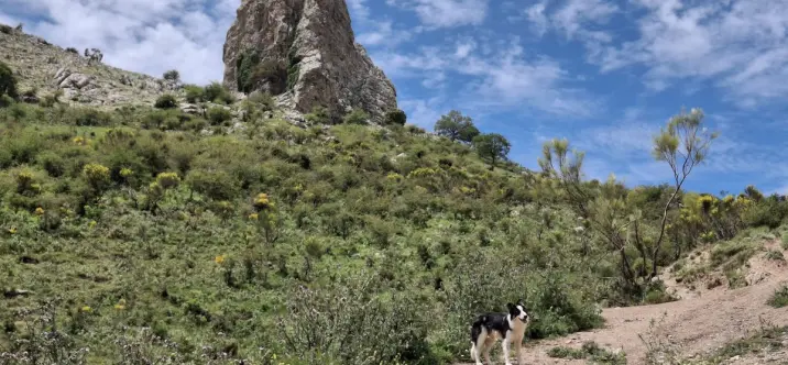 Residential plot R4859584 0