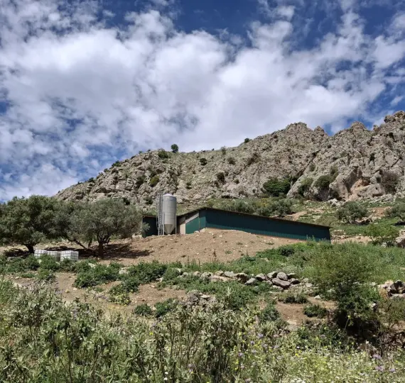 Residential plot R4859584