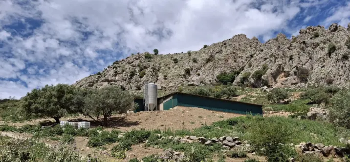 Residential plot R4859584 3