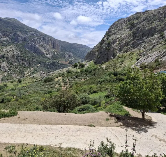 Residential plot R4859584