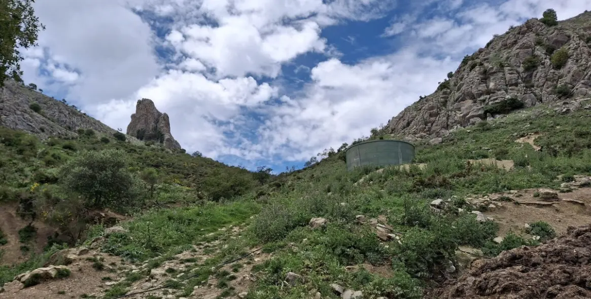 Sale of residential plot in Alfarnatejo 14