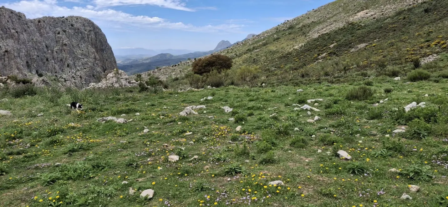 Sale of residential plot in Alfarnatejo 1