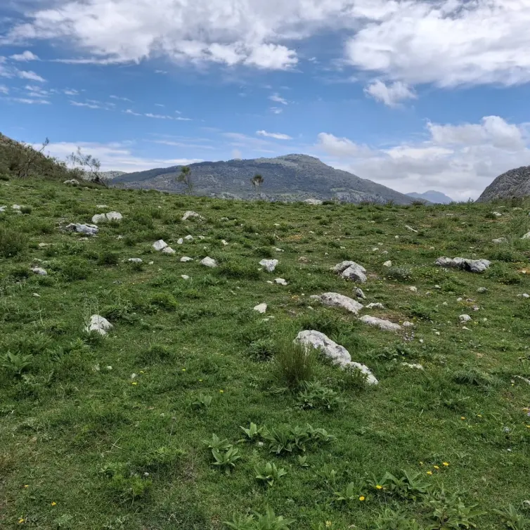 Sale of residential plot in Alfarnatejo