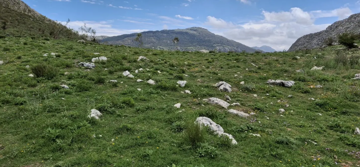 Sale of residential plot in Alfarnatejo 2