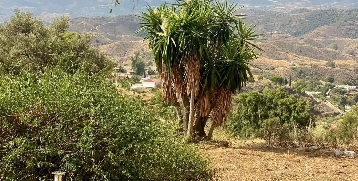 Venta de villa independiente en Mijas 6