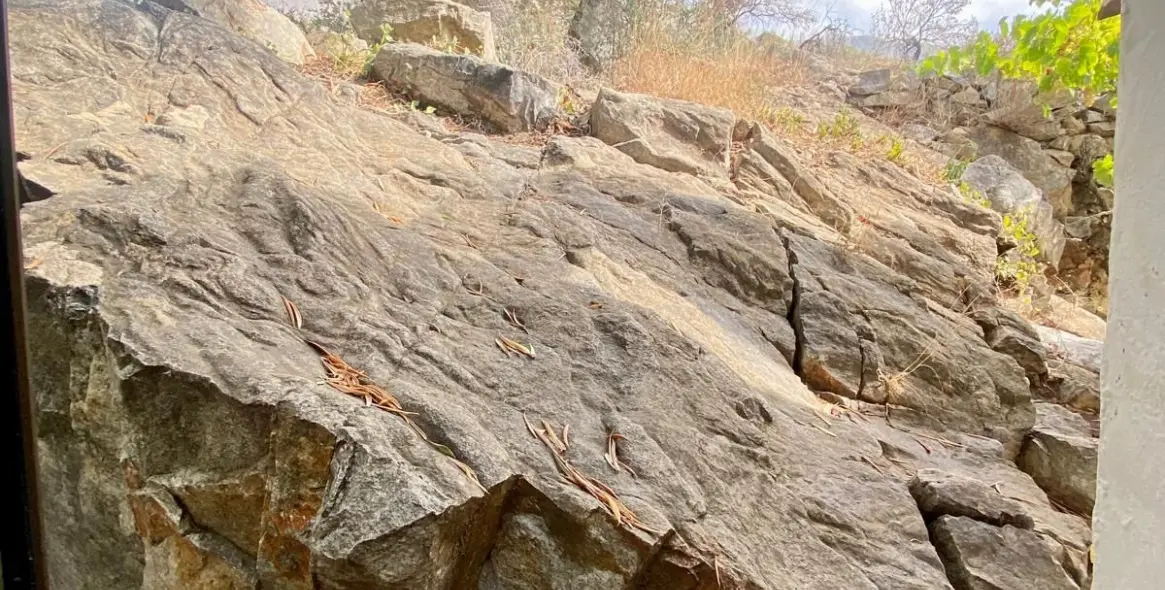 Продажа финки в Mijas 24