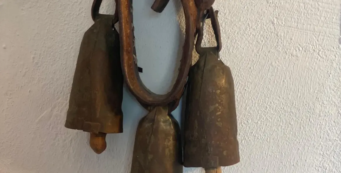 Продажа финки в Mijas 35