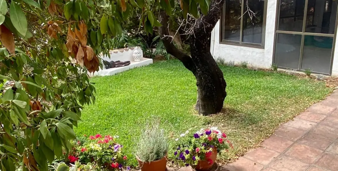 Продажа финки в Mijas 55