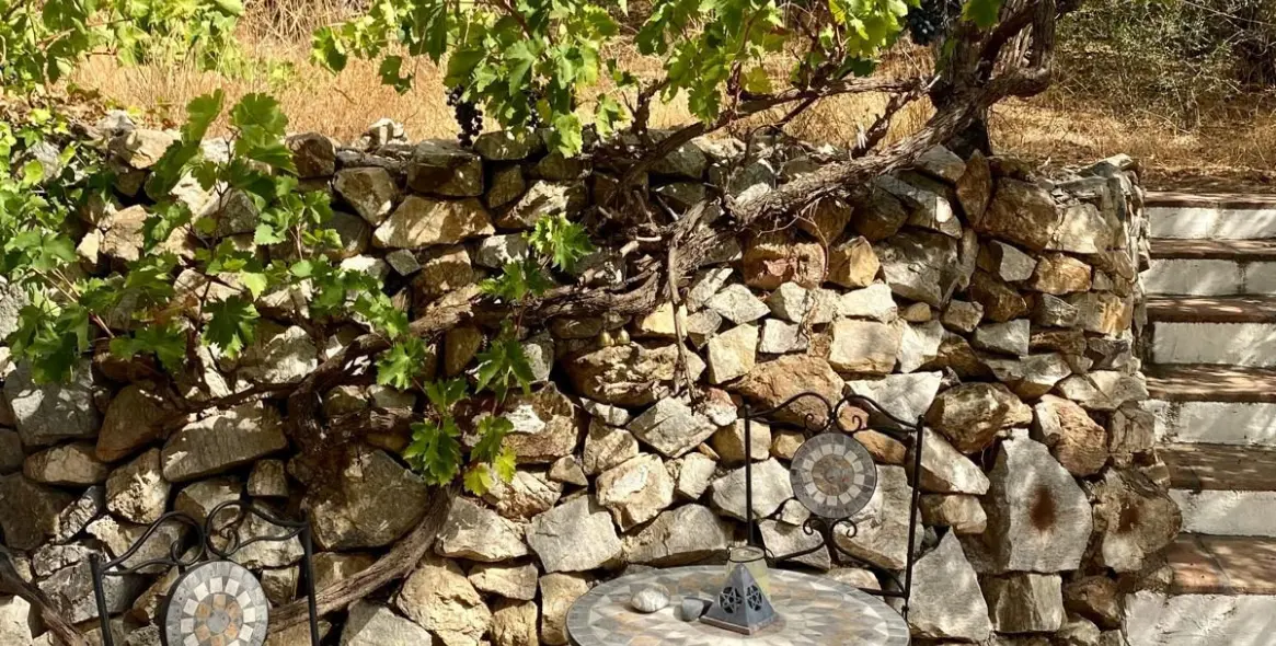 Продажа финки в Mijas 56