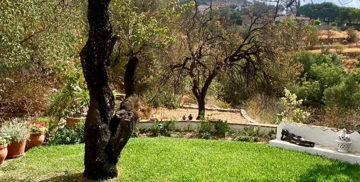 Продажа финки в Mijas 57