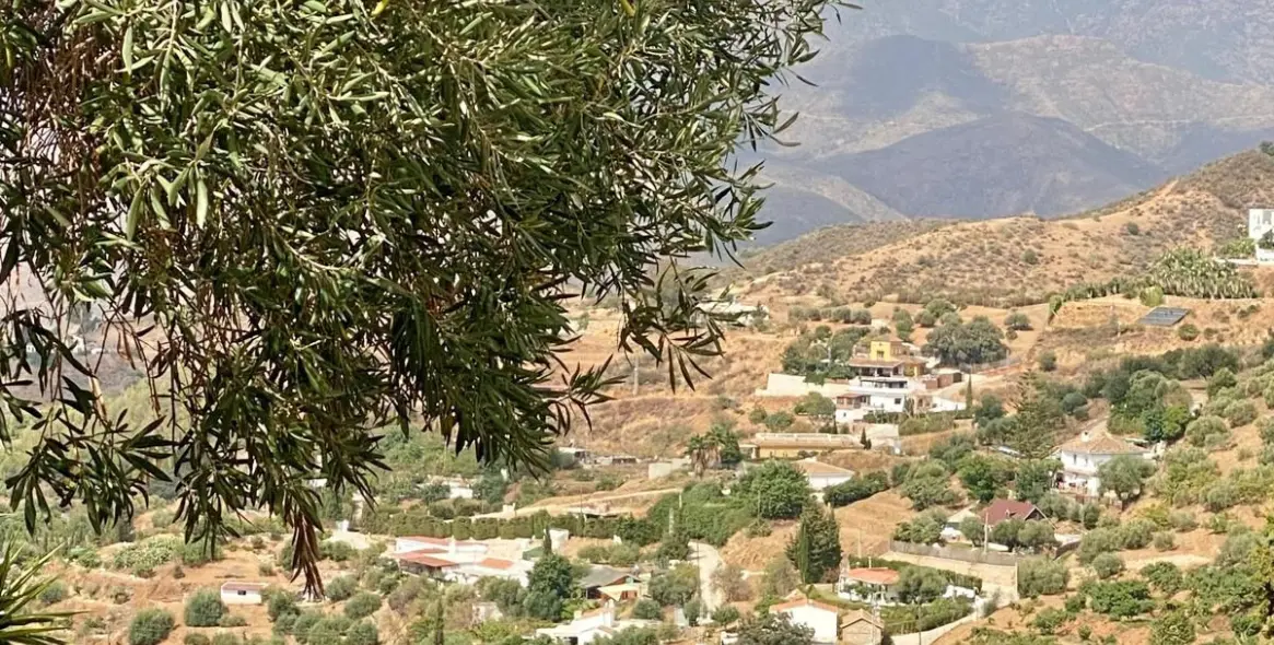 Продажа финки в Mijas 61