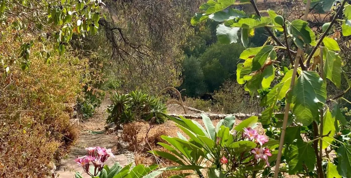 Продажа финки в Mijas 62