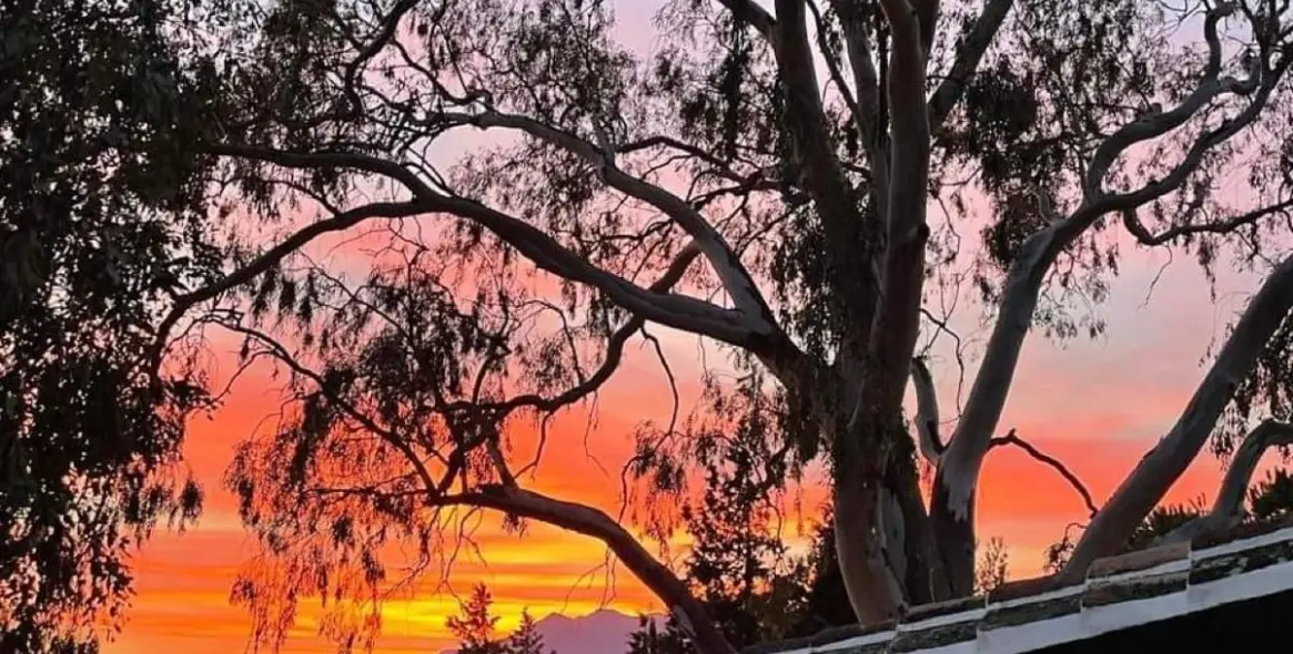 Продажа финки в Mijas 69